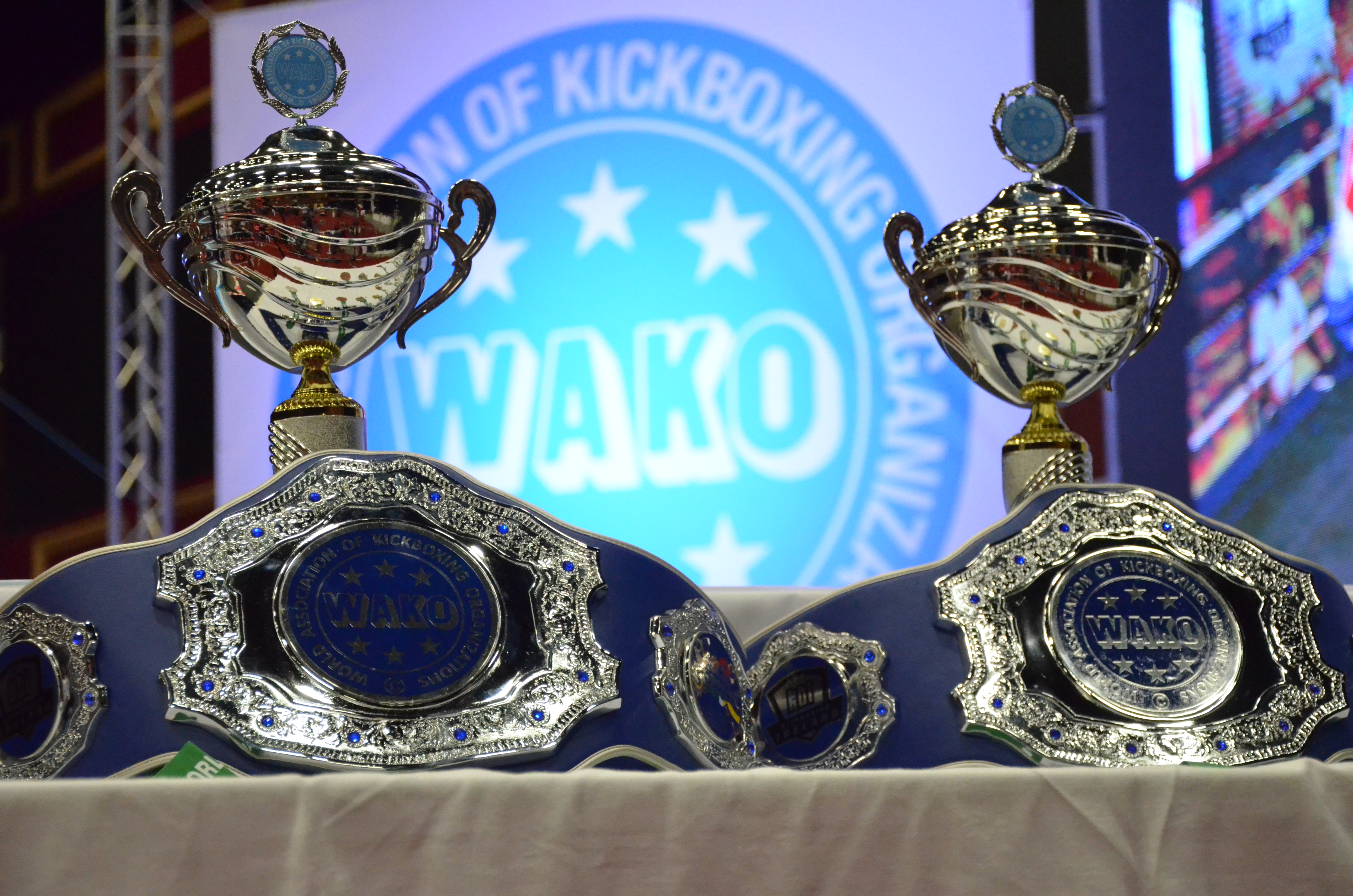 7. Uluslararası Kick Boks Dünya Kupası - 12-15 Mayıs 2022 - İstanbul