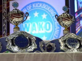 7. Uluslararası Kick Boks Dünya Kupası - 12-15 Mayıs 2022 - İstanbul